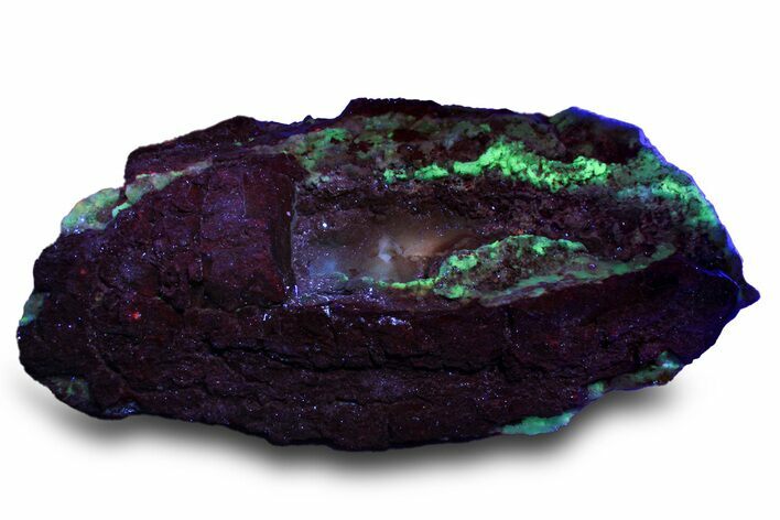 Fluorescent Chalcedony Filled Volcanic Bomb - Nevada #299912